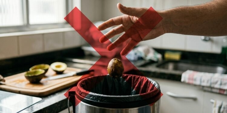 Não jogue fora esse caroço antes de aprender como plantar e transformá-lo em uma árvore cheia de frutos em casa