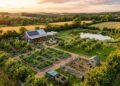 Como organizar 1 acre para produzir comida o ano inteiro com planejamento inteligente