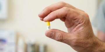 Farmacêuticos alertam: quem toma antibióticos deveria seguir estas 4 medidas para proteger o intestino