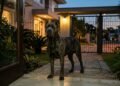 As 3 melhores raças de cães que ajudam a manter sua casa mais protegida e tranquila