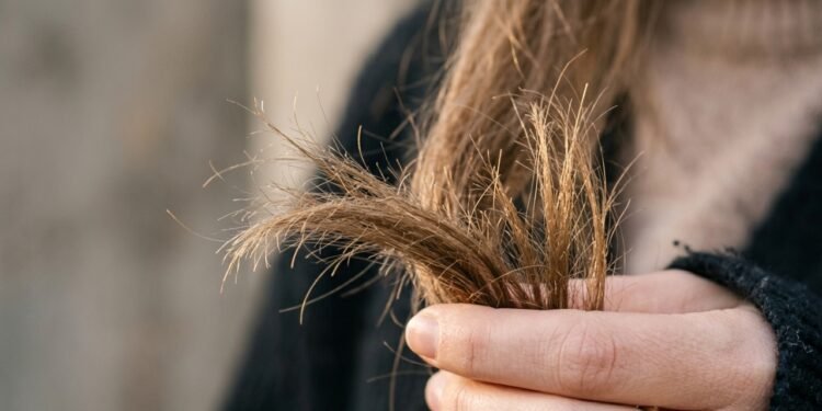 Por que o cabelo sofre mais no outono e o que fazer para evitar fios fracos e quebradiços