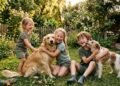 Crescer com animais pode transformar a forma como crianças desenvolvem empatia e inteligência emocional