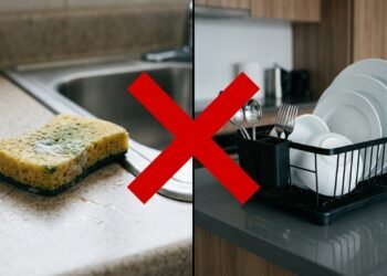 Não é a esponja nem o escorredor: o objeto da cozinha que acumula mais germes do que o vaso sanitário