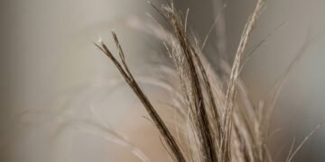 O que causa pontas duplas e como evitar que o cabelo fique com aspecto ressecado