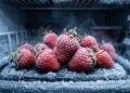 O erro comum ao congelar morangos que deixa a fruta mole e sem gosto depois de descongelar