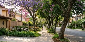 As árvores perfeitas para decorar e dar sombra em casa sem danificar a sua calçada