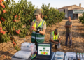 Produtor rural enfrenta multa milionária e prisão por comercializar fruta protegida por lei