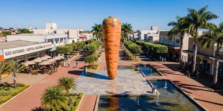 A Capital Nacional da Cenoura: a cidade mineira que responde por cerca de 70% da produção do país