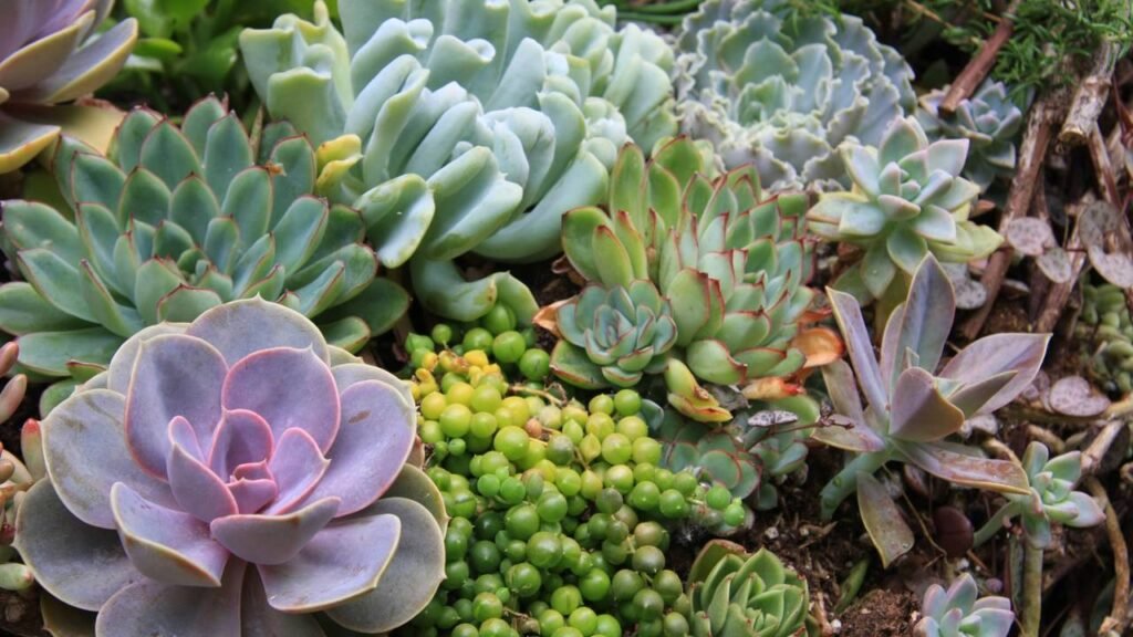 Plantas resistentes ao inverno