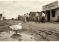 Batizada por um pato selvagem em 1903 e hoje 4ª em qualidade de vida no Paraná: a cidade do interior que tem um time entre os 5 melhores do mundo