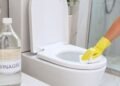 Por que colocam vinagre no vaso sanitário? A solução simples para um problema básico de banheiro