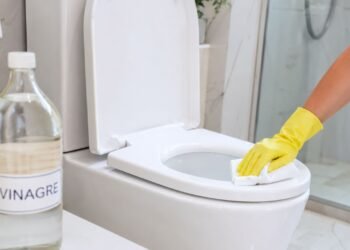 Por que colocam vinagre no vaso sanitário? A solução simples para um problema básico de banheiro