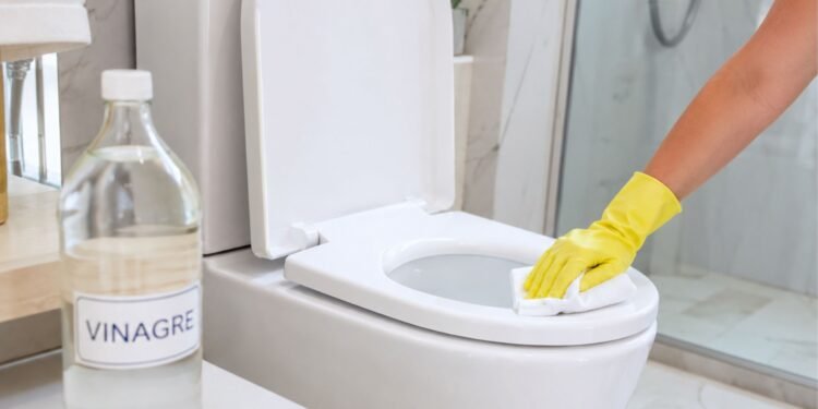 Por que colocam vinagre no vaso sanitário? A solução simples para um problema básico de banheiro