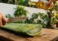 Mistura de Aloe vera com óleos vegetais elimina o frizz de forma mais potente que o uso comum