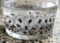 Estudo revela que semente de chia é fonte poderosa de gordura boa para o coração