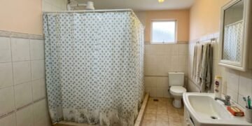 Adeus à cortina de banheiro: as substituições modernas que eliminam o mofo preto e facilitam a limpeza