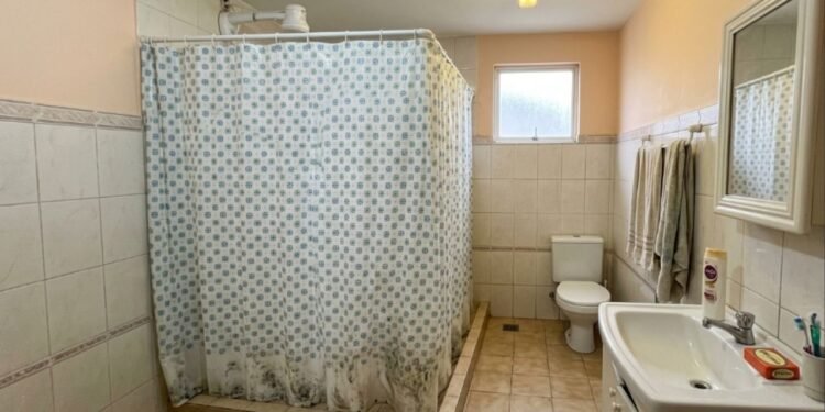 Adeus à cortina de banheiro: as substituições modernas que eliminam o mofo preto e facilitam a limpeza