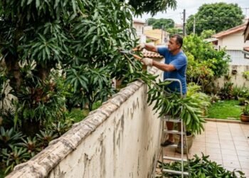 Já está em vigor: os donos de imóveis com árvores ou cercas vivas a menos de dois metros do vizinho deverão realizar a poda sob risco de multa