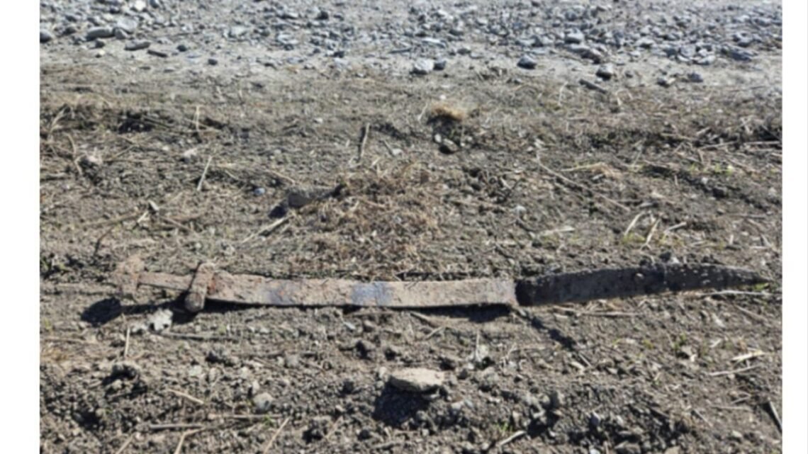 Descoberta sem precedentes: menino de 6 anos encontra espada viking de ...