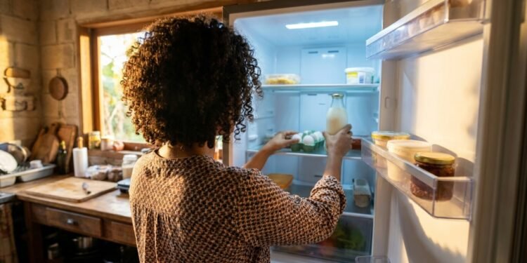 Ajuste de temperatura no refrigerador evita proliferação bacteriana e conserva alimentos