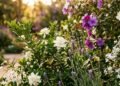 As plantas aromáticas mais poderosas para deixar seu jardim perfumado e elegante o ano inteiro