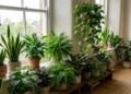 As plantas que ajudam a refrescar a casa naturalmente e reduzem o calor dos ambientes