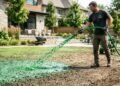 O gramado que virou tendência entre quem busca jardins mais bonitos e fáceis de cuidar