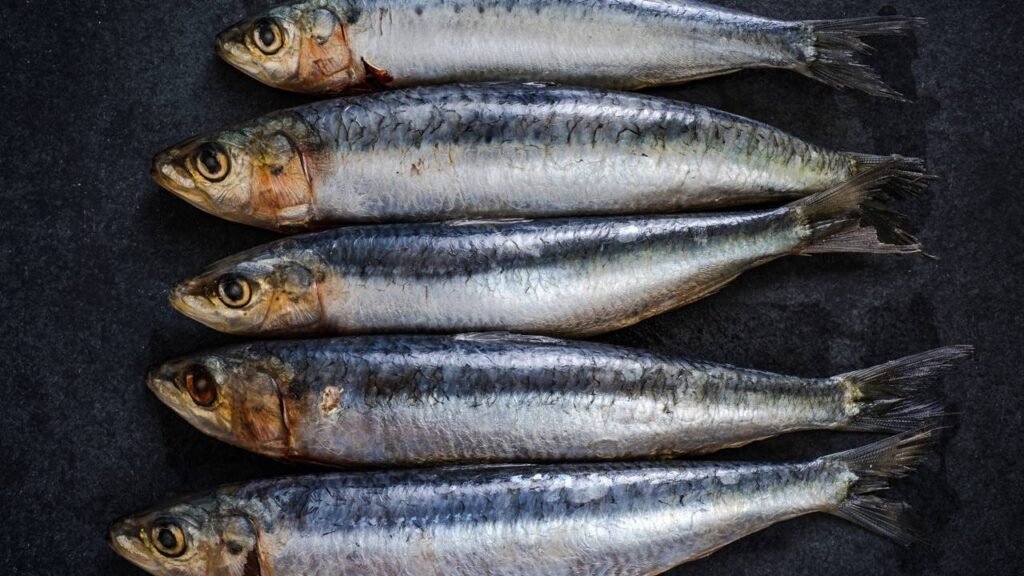 Sardinhas em lata