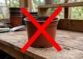 Adeus vasos de plástico convencionais: a nova tendência para cultivar plantas na varanda é mais sustentável e retém melhor a umidade