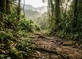 Peabiru revela o caminho ancestral que ligava o Atlântico aos Andes e ainda intriga pesquisadores