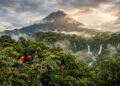 Costa Rica incrível revela o santuário animal onde floresta, mar e vulcões ditam a vida selvagem
