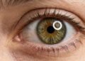 Cor dos olhos: porcentagem da população mundial com cada tonalidade