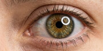 Cor dos olhos: porcentagem da população mundial com cada tonalidade