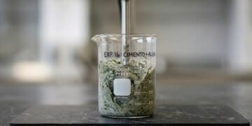 Pesquisadores da Universidade de Washington e da Microsoft reduziram a pegada de carbono do cimento em 21% ao incorporar algas marinhas
