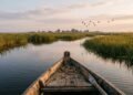 Delta do Danúbio revela o paraíso escondido da Europa entre canais, aves e natureza selvagem