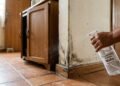 Borrifar água salgada nos cantos da casa: para que serve e por que é recomendado