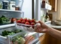 Truque para conservar morangos de forma correta e não perder sabor