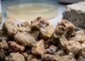 Cientistas desenvolveram um método inovador para liofilizar bactérias, usando-as como uma "cola" para fortalecer o solo e reparar estruturas de concreto