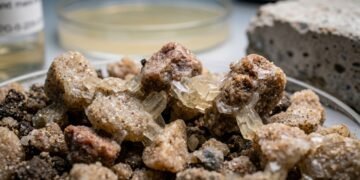 Cientistas desenvolveram um método inovador para liofilizar bactérias, usando-as como uma "cola" para fortalecer o solo e reparar estruturas de concreto