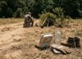 Trabalhadora rural ganha R$ 7 mil após ser obrigado comer no sol e trabalhar sem banheiro