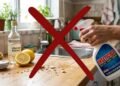Diga adeus aos venenos: os truques com itens da cozinha para eliminar formigas da sua casa