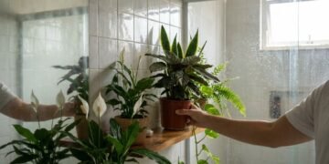 As plantas que ajudam a combater a umidade e deixam o banheiro mais bonito