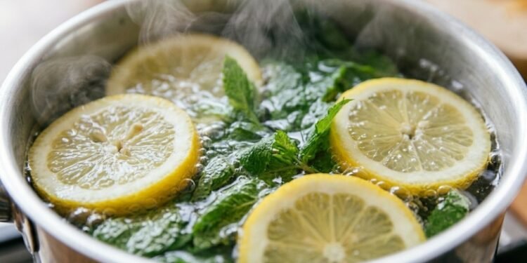 Um especialista em bioconstrução e remédios naturais recomenda: "Você precisa ferver hortelã e limão em álcool."