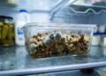 Especialistas ensinam a armazenar comida sem criar ninhos de bactérias