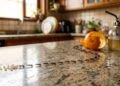 Como eliminar formigas de casa usando ingredientes simples que você já tem na cozinha