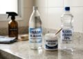 Os 3 ingredientes que substituem quase todos os produtos de limpeza da sua casa e custam R$ 15 por mês
