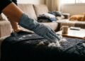 Como tirar pelo de gato da roupa e limpar estofados sem gastar muito