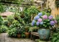 Estas 5 plantas florescem mesmo na sombra e transformam qualquer quintal sem sol
