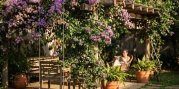 A trepadeira perfumada que transforma qualquer pergolado em um refúgio florido e colorido