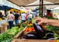 Como escolher berinjelas jovens, crocantes e saborosas e evitar frutos velhos e amargos